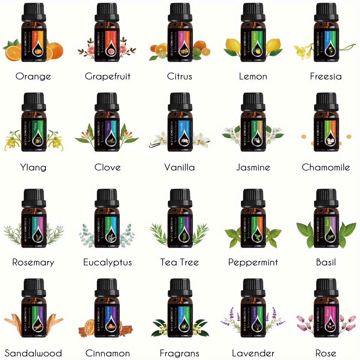 20pcs/set Essential Oil Set La - Home Fragrance Oil ulasan dan harga