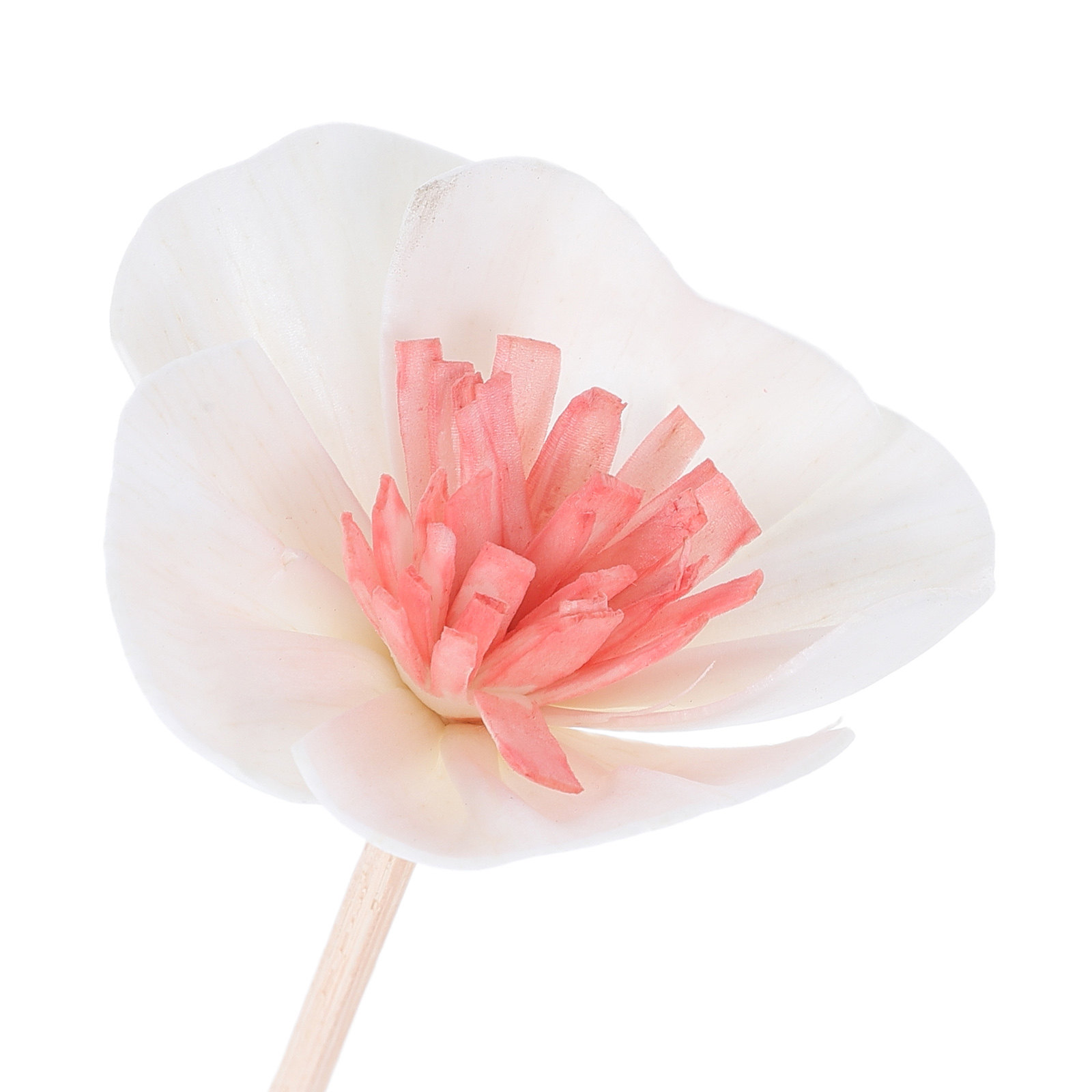 10Pcs Essential Oil Diffuser S - Home Fragrance ulasan dan harga