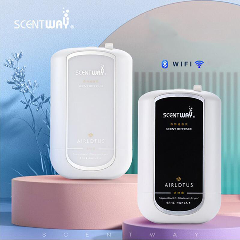 Pure Essential Oil Aroma Diffu - Home Fragrance Oil ulasan dan harga